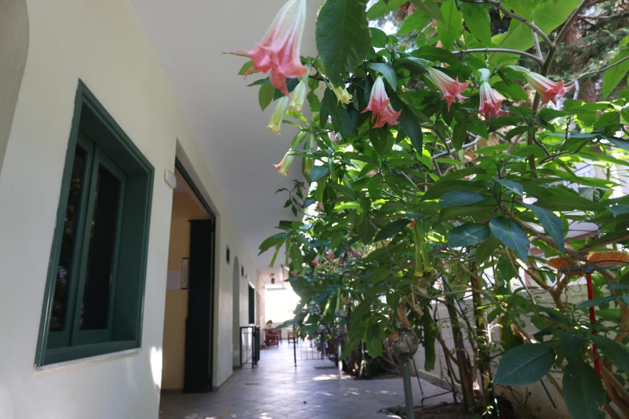 פוליכרונו Spanos Apartments Anna'S Lodge מראה חיצוני תמונה